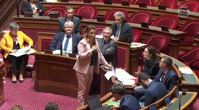 Le Sénat rejette le projet de bulletin de paie du gouvernement