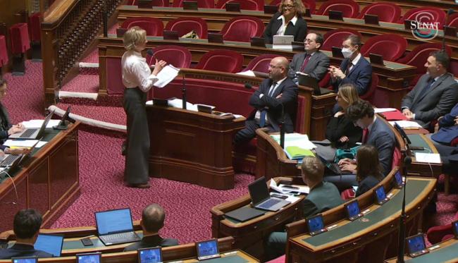 Allègements des charges sociales patronales : le Sénat amende le projet du gouvernement